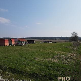 Prodej stavební parcely 1 001 m² Újezd nade Mží, 