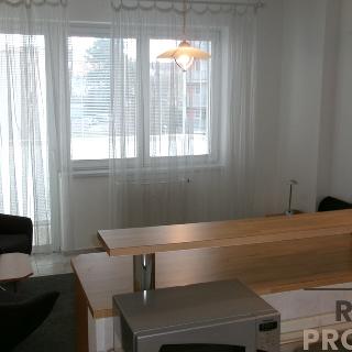 Pronájem bytu 1+kk a garsoniéry 24 m² Brno, Langrova