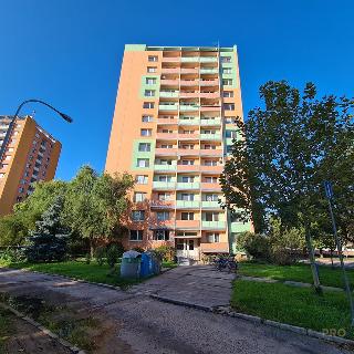 Prodej bytu 1+1 35 m² Břeclav, sídl. Dukelských hrdinů