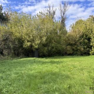 Prodej louky 3793 m&sup2; Rohatec