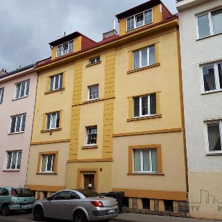 Pronájem bytu 1+1 43 m² Děčín, Riegrova