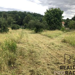 Prodej zemědělské usedlosti 150 m² Kleneč, Hlavní