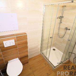 Pronájem bytu 2+1 53 m² Brno, Svitavská