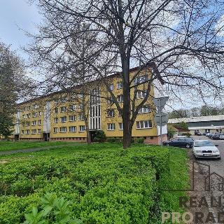 Pronájem bytu 2+1 55 m² Kutná Hora, Puškinská