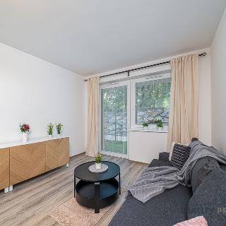 Pronájem bytu 1+kk a garsoniéry 32 m² Olomouc, Frištenského