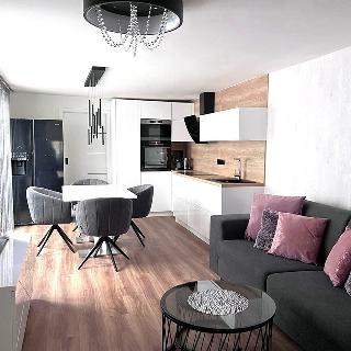 Pronájem bytu 2+kk 65 m² Velké Pavlovice, Pod Břehy