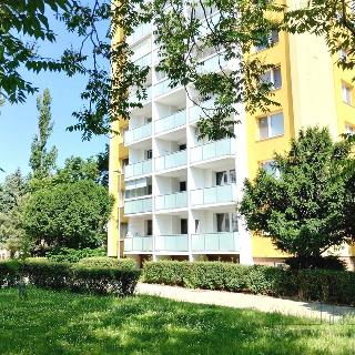 Prodej bytu 2+1 49 m² Břeclav, 