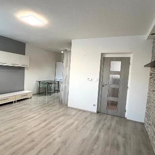 Pronájem bytu 2+kk 1 292 m² Kuřim, Dlouhá