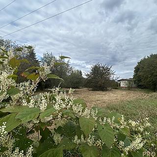 Prodej zahrady 1611 m² Hodonín