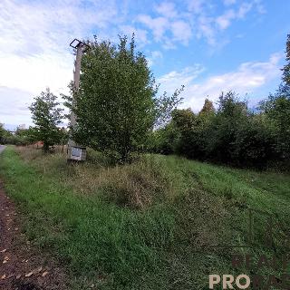 Prodej zahrady 1 480 m² Lipník nad Bečvou, 