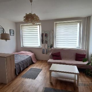 Prodej bytu 1+kk a garsoniéry 32 m² Teplice, Krušnohorská