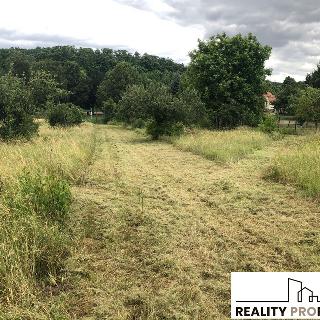 Prodej zemědělské usedlosti 150 m² Kleneč, Hlavní