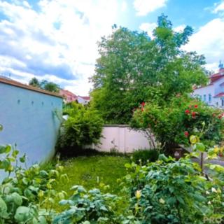Pronájem bytu 1+1 38 m² České Budějovice 3, Otakarova