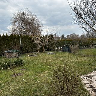 Prodej zahrady 353 m&sup2; Planá