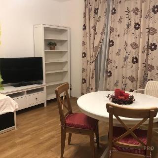 Pronájem bytu 1+kk a garsoniéry 95 m² Praha, Svitákova