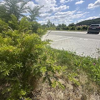 Prodej parkovacího místa 13 m&sup2; Boskovice