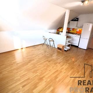 Pronájem bytu 1+kk a garsoniéry 42 m² Brno, Chleborádova