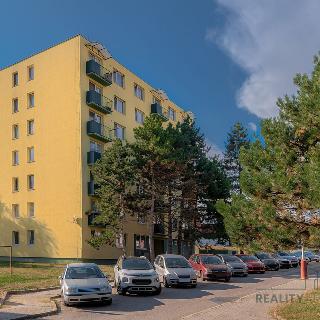 Prodej bytu 2+1 55 m² Moravský Krumlov, Sídliště