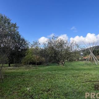 Prodej zahrady 3148 m² Černá Hora