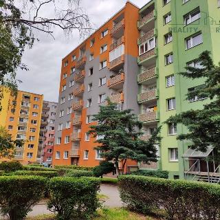 Prodej bytu 1+1 39 m² Jirkov, Alešova