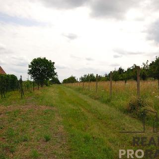 Prodej stavební parcely 1 992 m² Břeclav, 