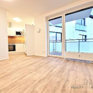 Pronájem bytu 1+kk a garsoniéry 27 m² Brno, Provazníkova