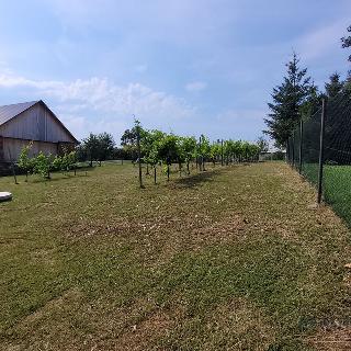 Prodej stavební parcely 856 m² Loukov