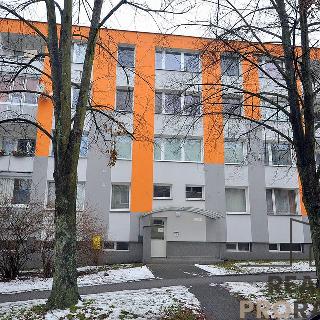 Prodej bytu 2+1 44 m² Zábřeh, Žerotínov