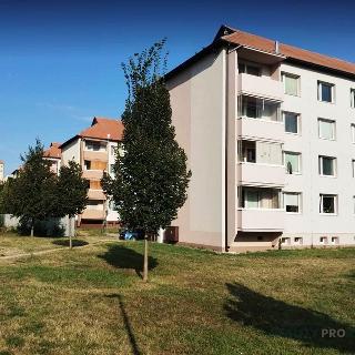 Prodej bytu 3+1 72 m² Mikulov, Vinařská