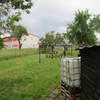 Pronájem zahrady 811 m² Nový Šaldorf-Sedlešovice Nový Šaldorf, Ke Skleníkům