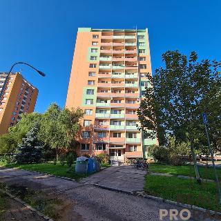 Prodej bytu 1+1 33 m² Břeclav, sídl. Dukelských hrdinů