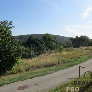 Prodej stavební parcely 1 306 m² Radějov