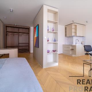 Prodej bytu 1+kk a garsoniéry 54 m² Praha, Drnovská