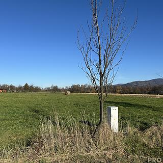 Prodej stavební parcely 3207 m&sup2; Návsí