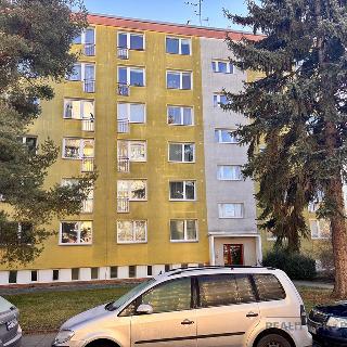 Prodej bytu 2+1 60 m² Olomouc, Hraniční