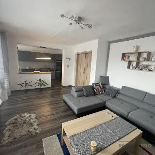 Pronájem rodinného domu 260 m² Přítluky, 