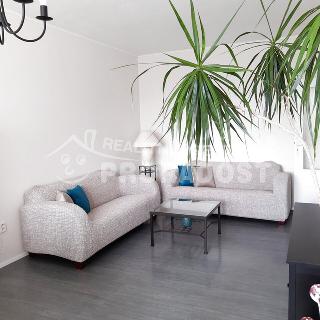 Pronájem bytu 2+1 52 m² Hodonín, Kollárova