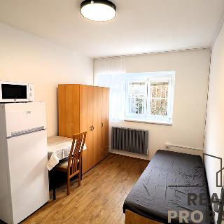 Pronájem bytu 1+kk a garsoniéry 23 m² Brno, Jircháře