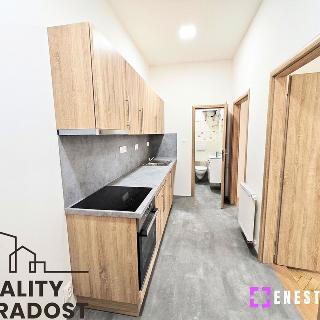 Pronájem bytu 2+1 54 m² Praha