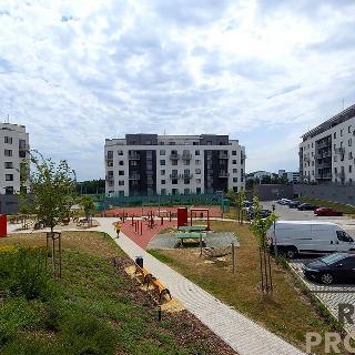 Pronájem bytu 2+kk 59 m² Plzeň, Inženýrská