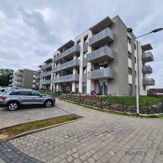 Pronájem bytu 2+kk 57 m² Kutná Hora, Plk. Loudy