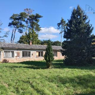 Prodej rodinného domu 88 m² Labské Chrčice, 