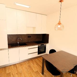 Pronájem bytu 3+kk 79 m² Brno, Novodvorská