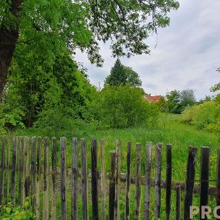 Prodej stavební parcely 1 576 m² Razová, 