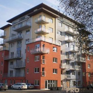 Pronájem bytu 1+kk a garsoniéry 17 m² Jihlava, U Dlouhé stěny