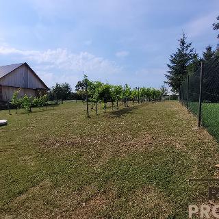 Prodej stavební parcely 856 m² Loukov