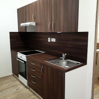 Pronájem bytu 1+1 38 m² Brno, Svitavská