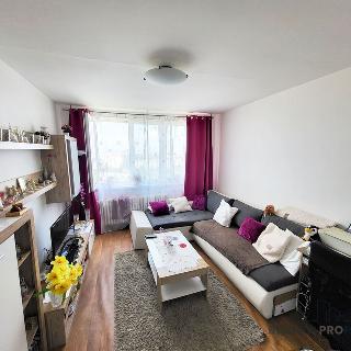 Prodej bytu 2+1 53 m² Praha, Krhanická