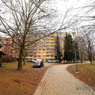 Prodej bytu 2+1 65 m² Brno, Ondrouškova