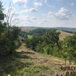 Prodej zahrady 2052 m&sup2; Kobeřice u Brna